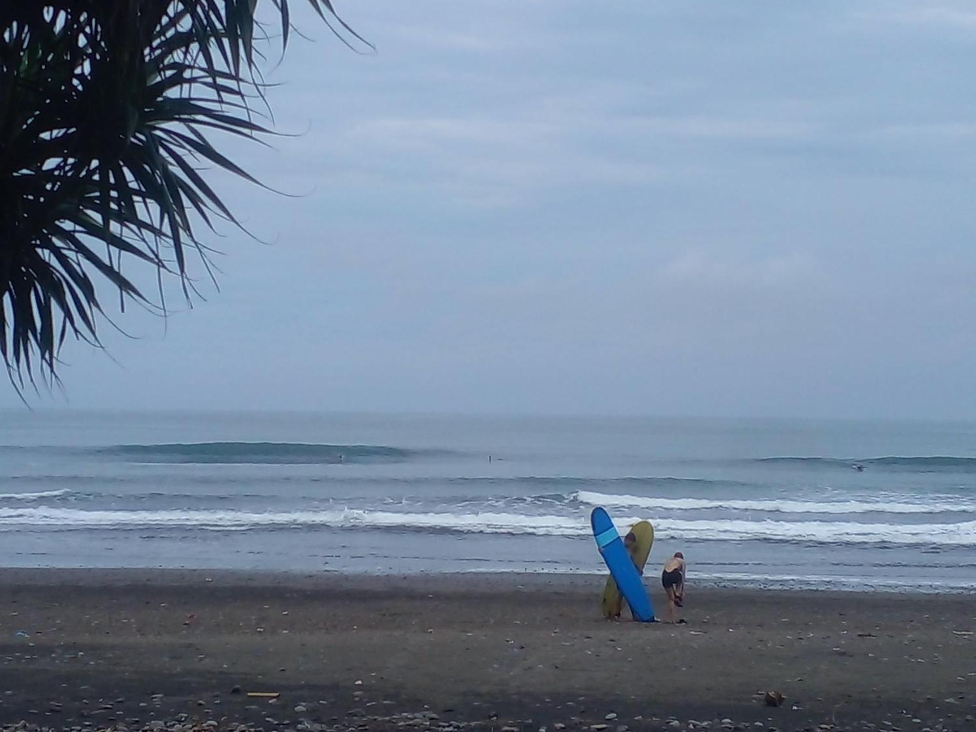 Medewi Good Vibes Stay&Surf Jembrana  ภายนอก รูปภาพ