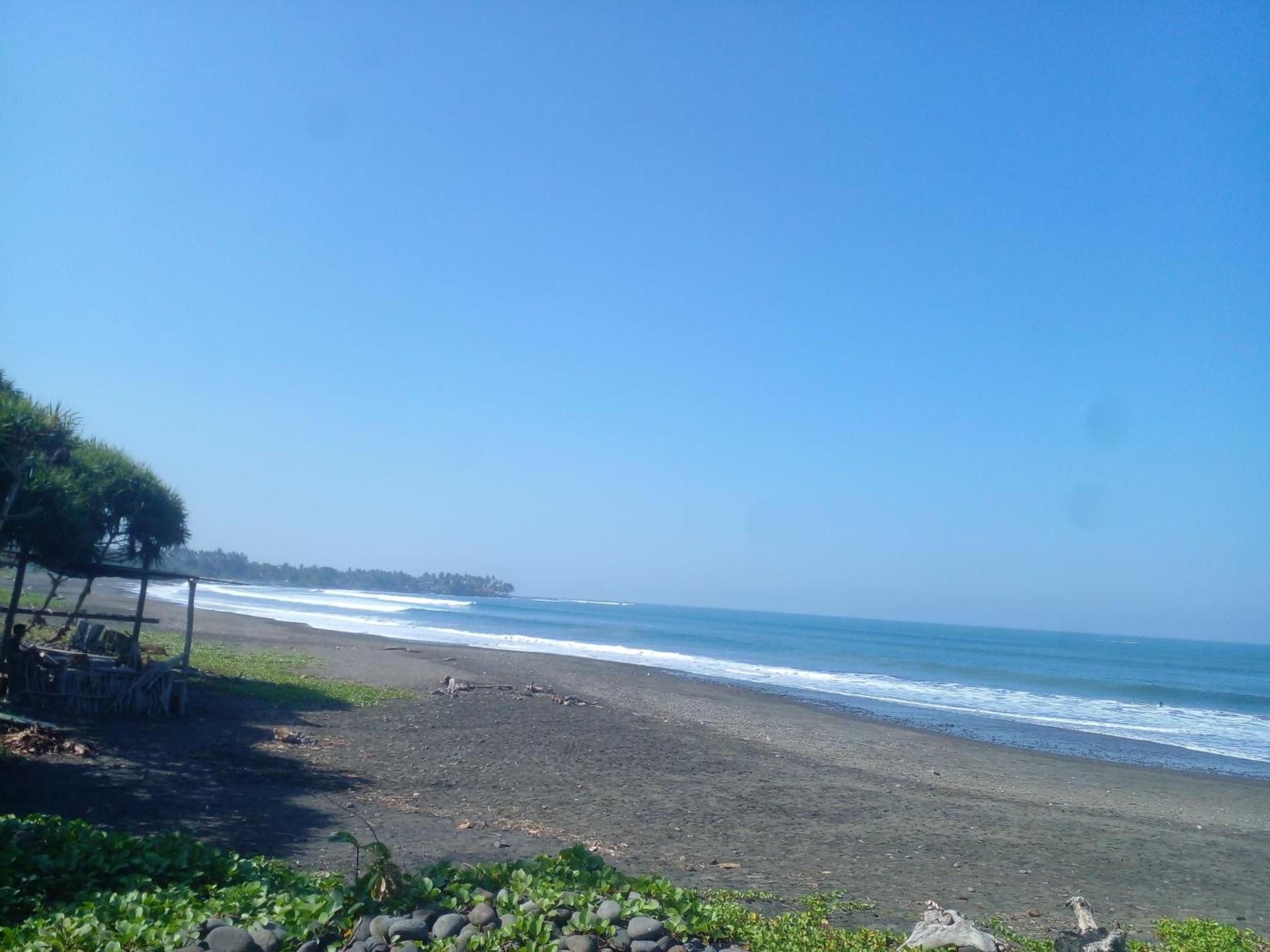 Medewi Good Vibes Stay&Surf Jembrana  ภายนอก รูปภาพ