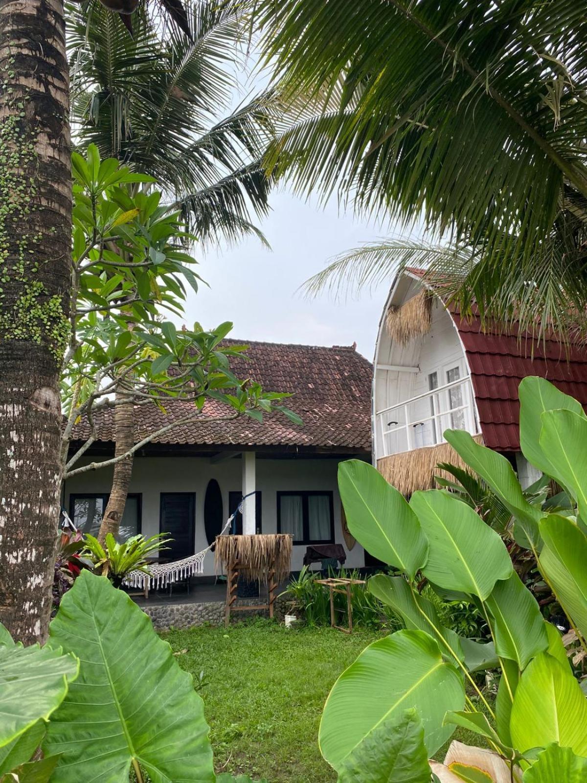 Medewi Good Vibes Stay&Surf Jembrana  ห้อง รูปภาพ